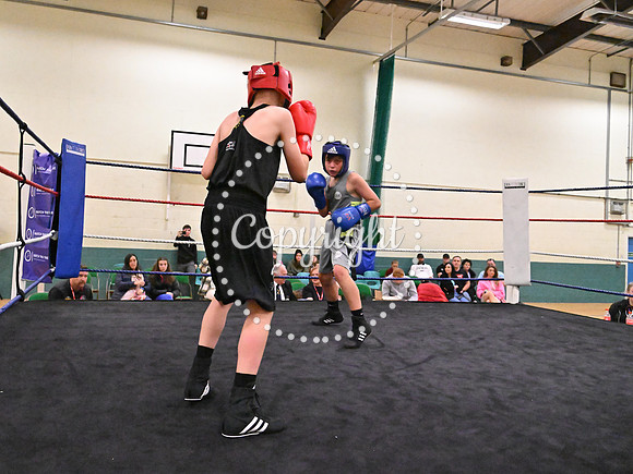 TS Boxing 302
