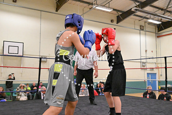 TS Boxing 276
