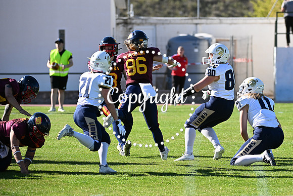 GBS_7539