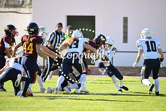 GBS_7548