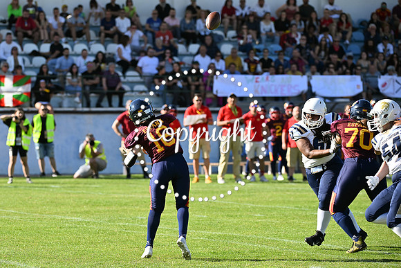 GBS_7579