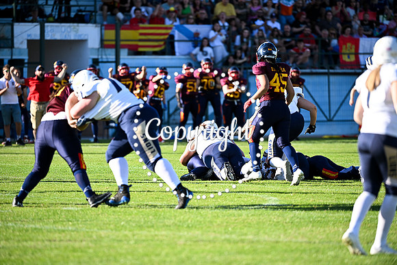 GBS_7665