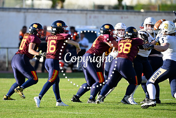 GBS_7756