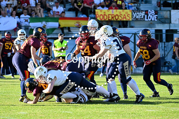 GBS_7685