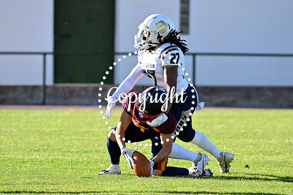 GBS_7695