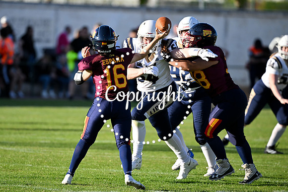 GBS_7741
