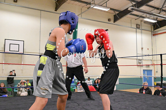TS Boxing 277