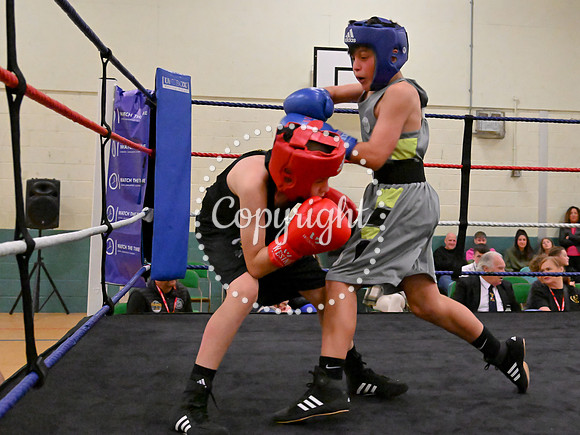 TS Boxing 298