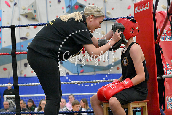 TS Boxing 284