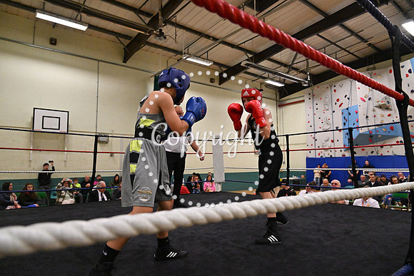 TS Boxing 273