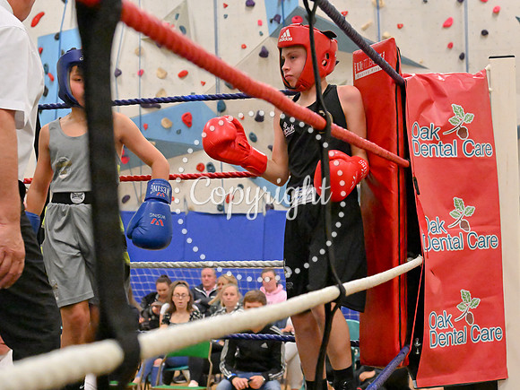 TS Boxing 317