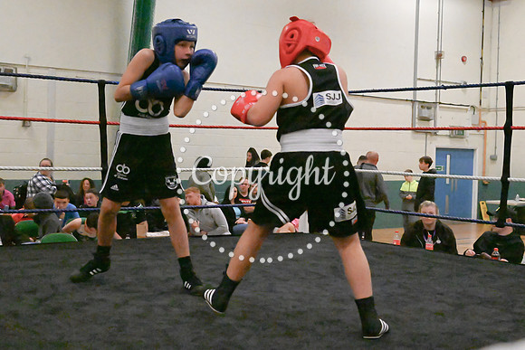 TS Boxing 0335