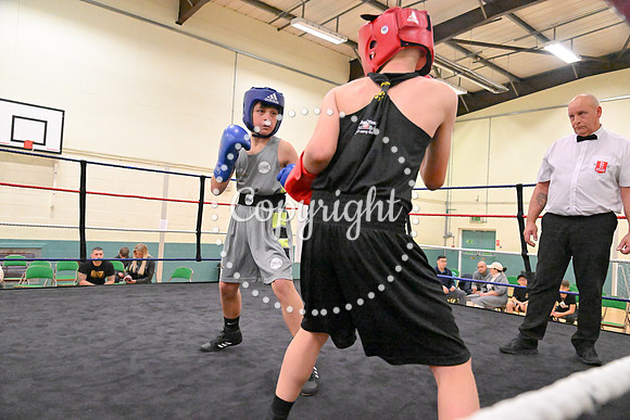TS Boxing 233