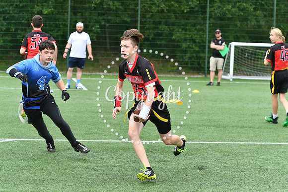 FLG_0736