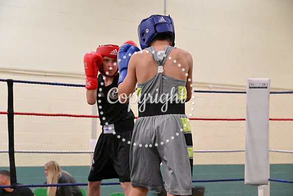 TS Boxing 206