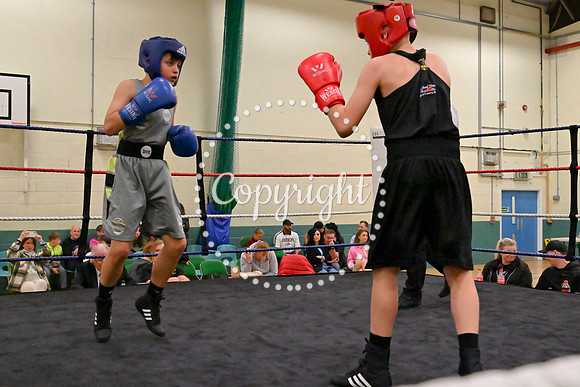 TS Boxing 256