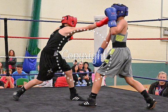 TS Boxing 335