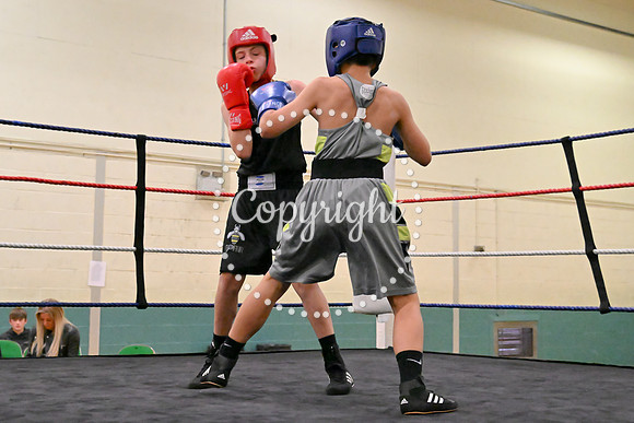 TS Boxing 222