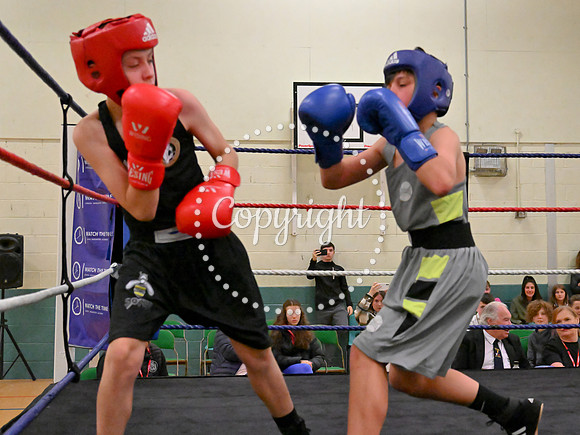 TS Boxing 297