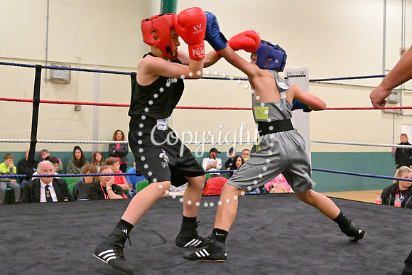 TS Boxing 324