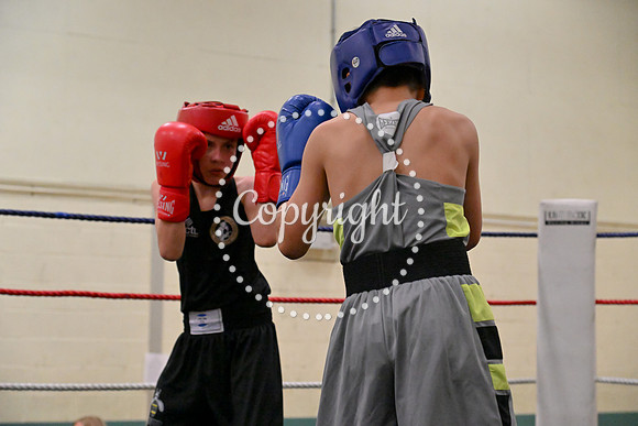 TS Boxing 207