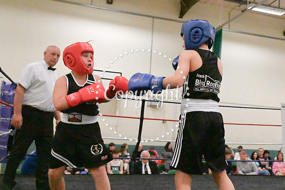 TS Boxing 0340