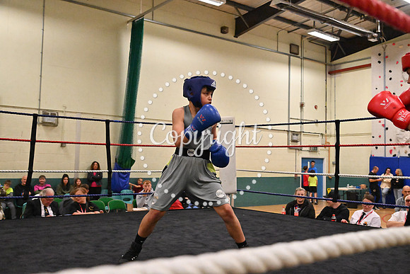 TS Boxing 242