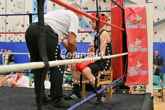 TS Boxing 241