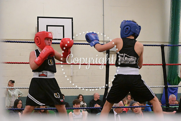 TS Boxing 0410