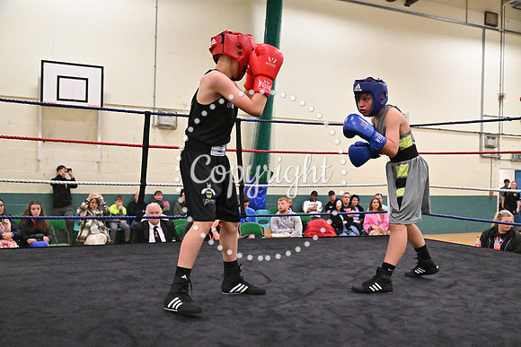 TS Boxing 328