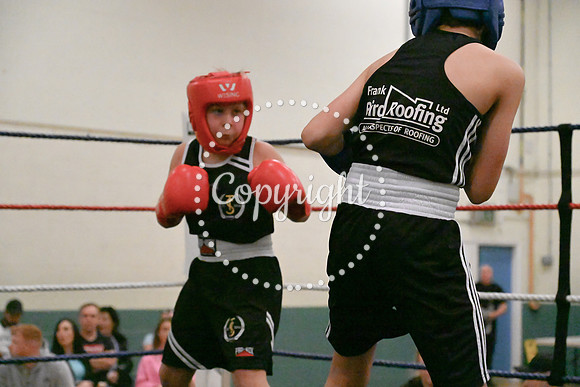 TS Boxing 0348