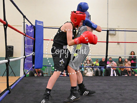 TS Boxing 299