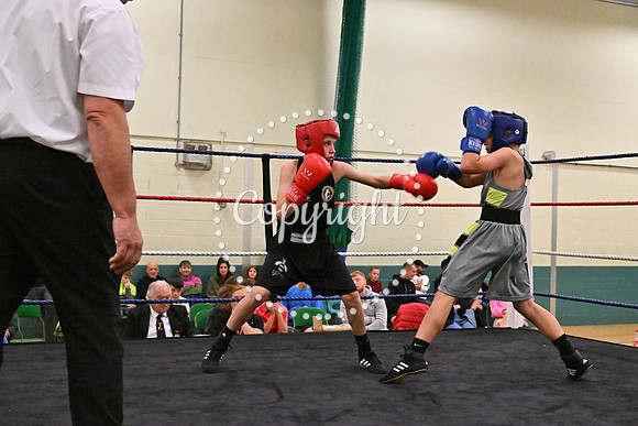 TS Boxing 333