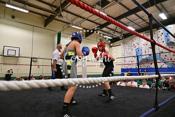 TS Boxing 272