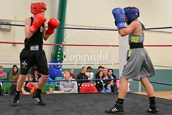 TS Boxing 334