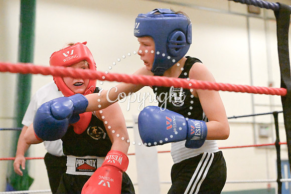 TS Boxing 0368