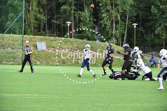 GB_final_2 2954