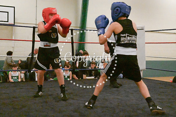 TS Boxing 0331