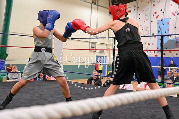 TS Boxing 243