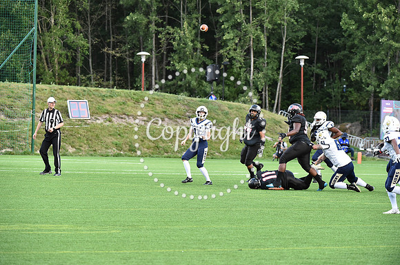 GB_final_2 2953