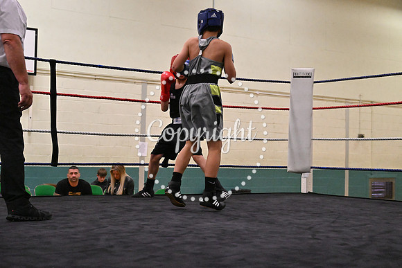 TS Boxing 225