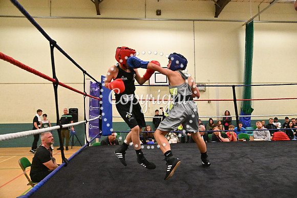 TS Boxing 336