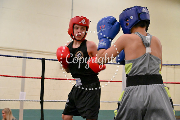 TS Boxing 210