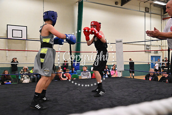 TS Boxing 339