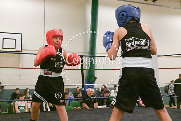 TS Boxing 0342