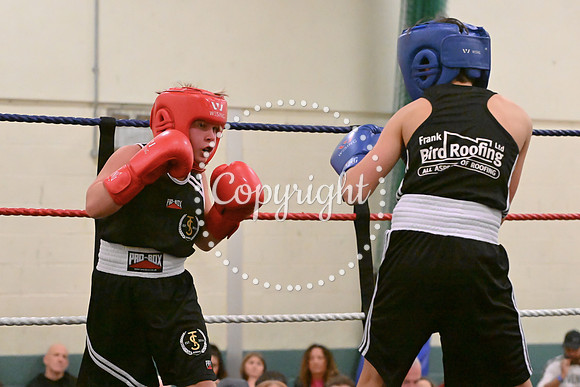 TS Boxing 0406