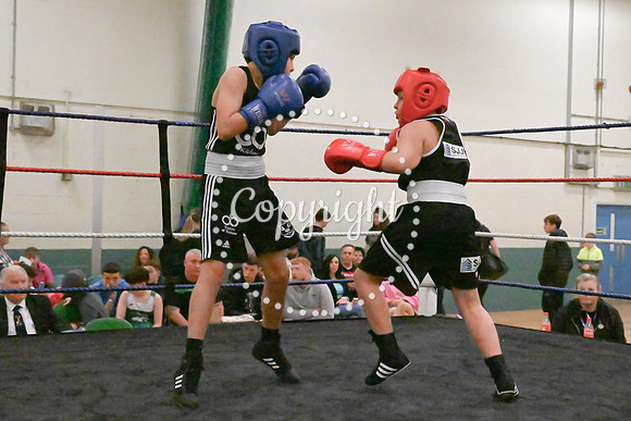 TS Boxing 0334