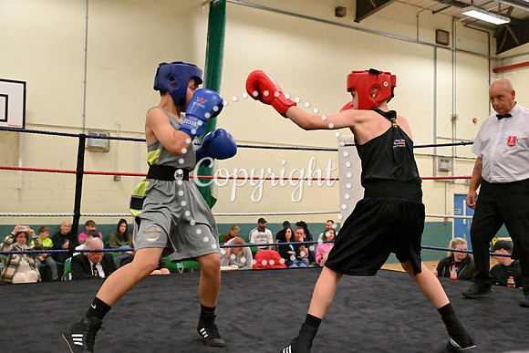 TS Boxing 254