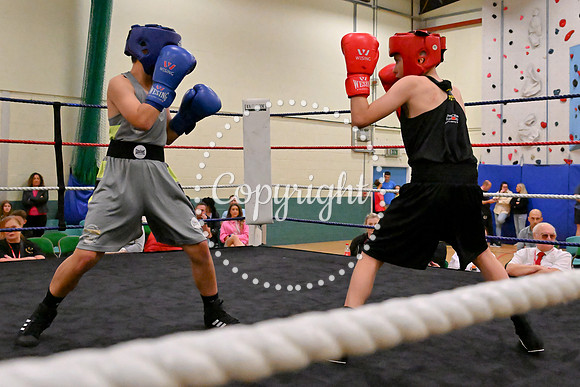 TS Boxing 244