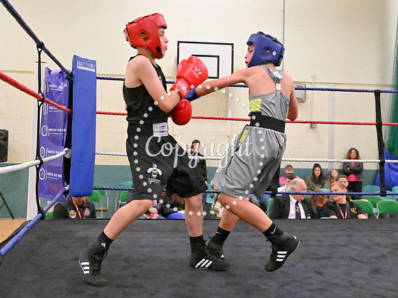 TS Boxing 300